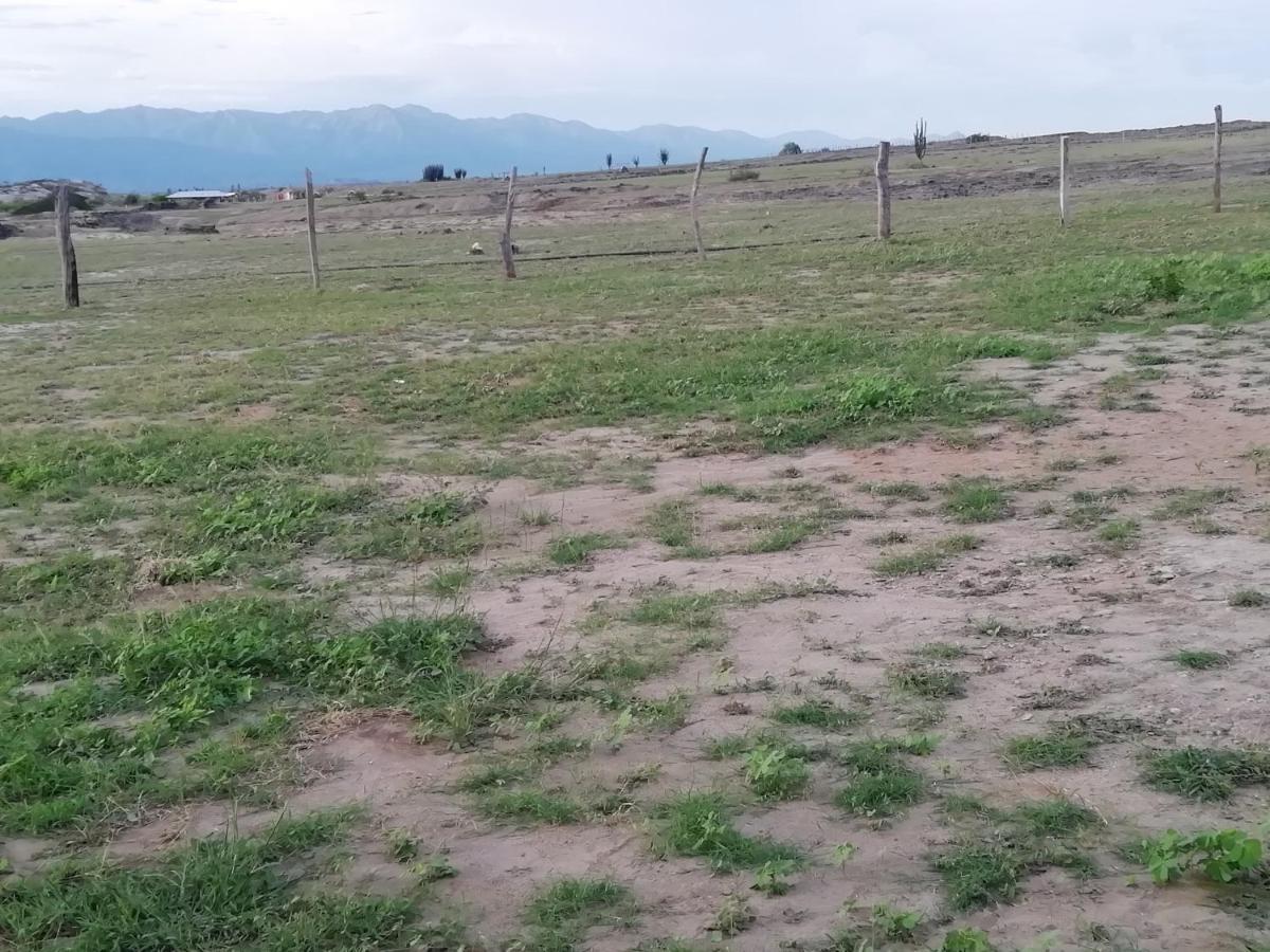 Pachingo La Primavera Villavieja Dış mekan fotoğraf