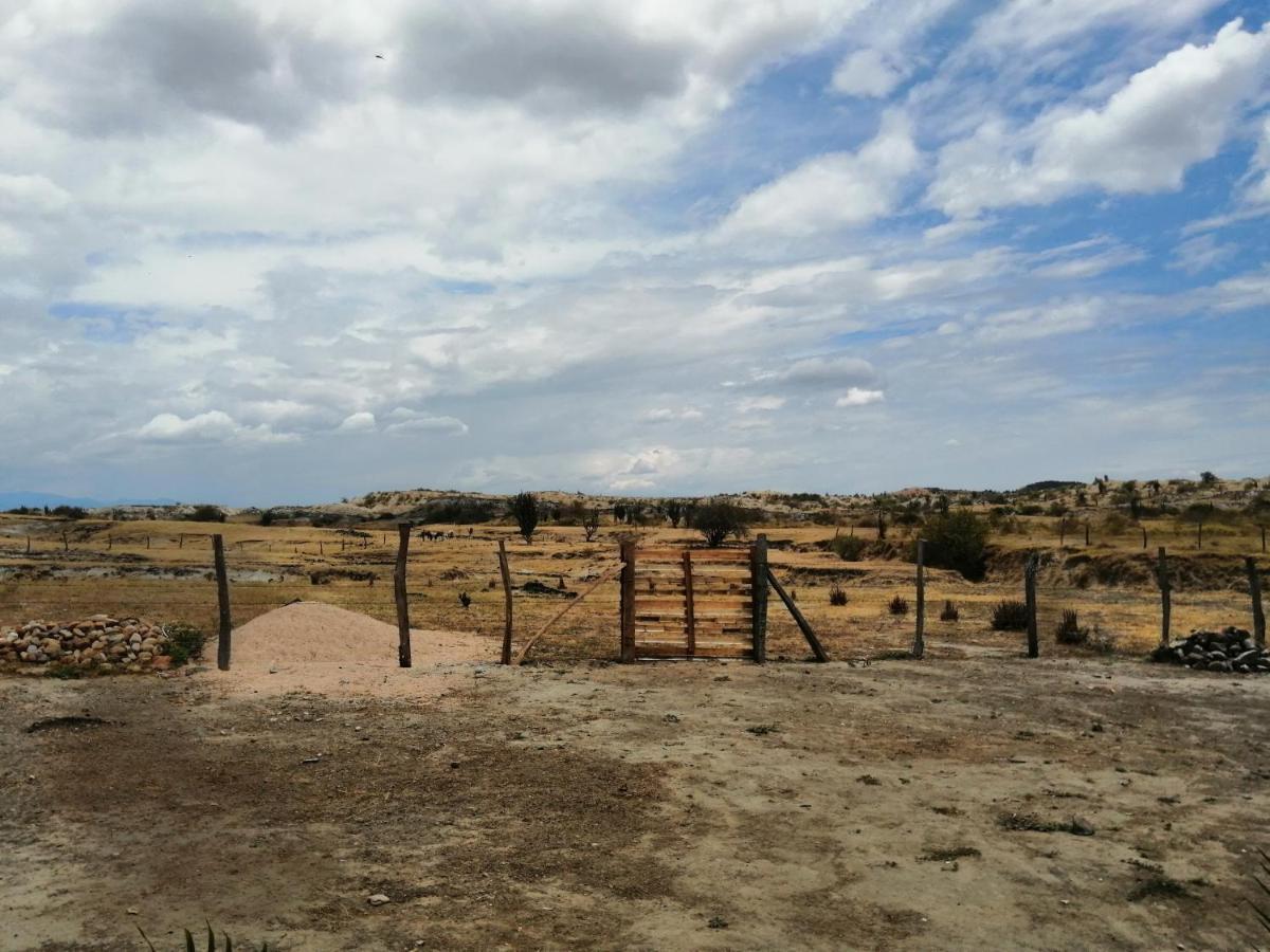 Pachingo La Primavera Villavieja Dış mekan fotoğraf