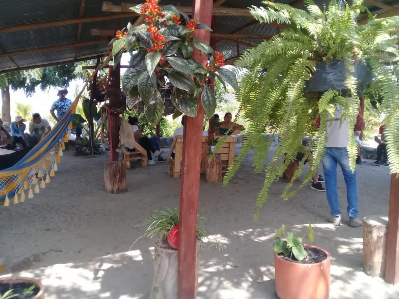 Pachingo La Primavera Villavieja Oda fotoğraf